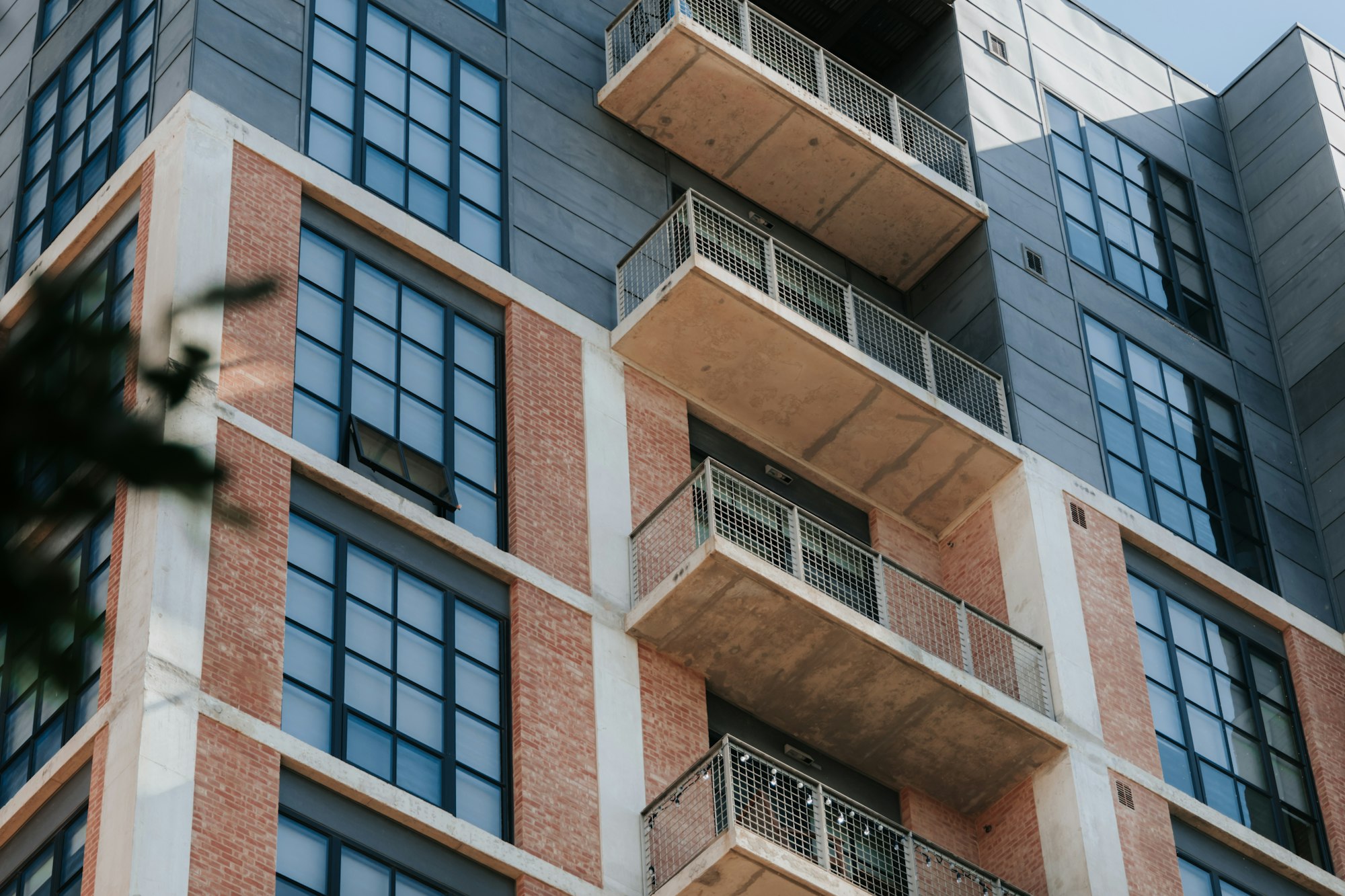 Terelj National Park Day Trip